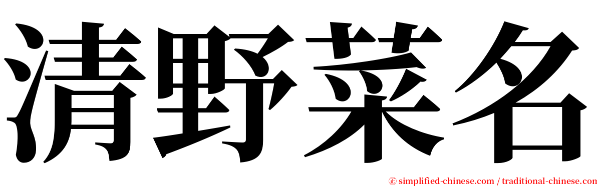 清野菜名 serif font