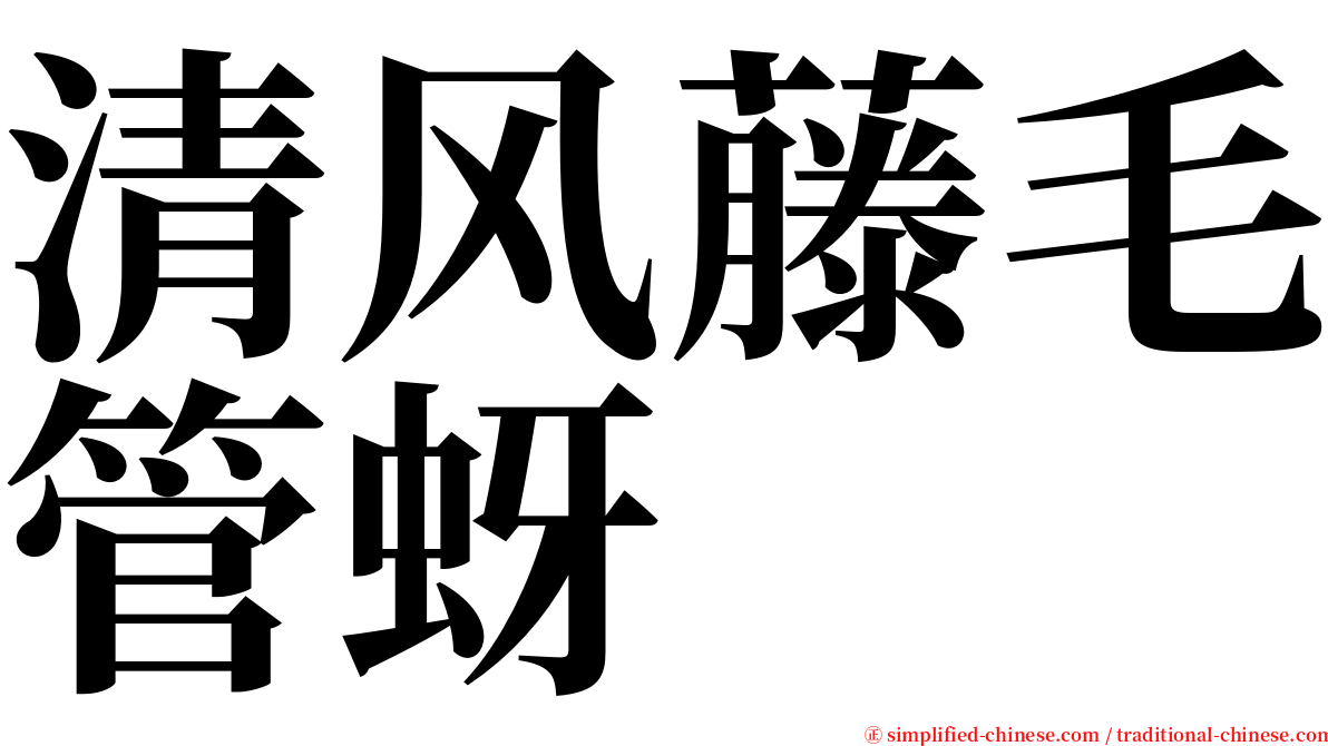 清风藤毛管蚜 serif font