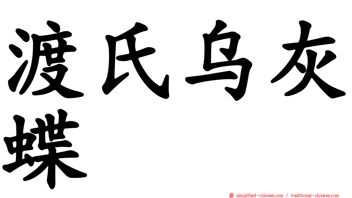 渡氏乌灰蝶