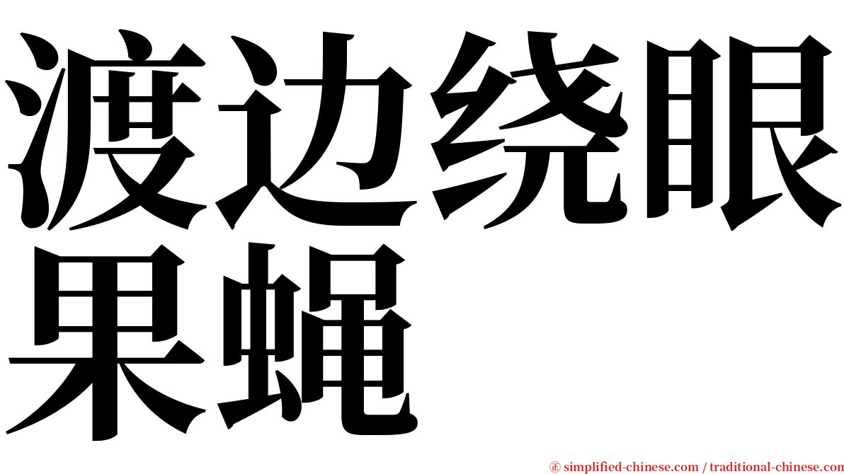 渡边绕眼果蝇 serif font