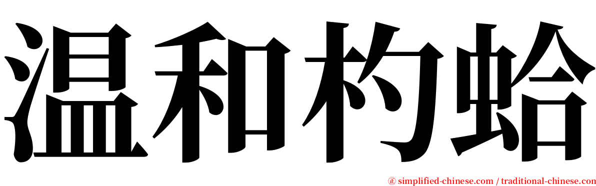 温和杓蛤 serif font