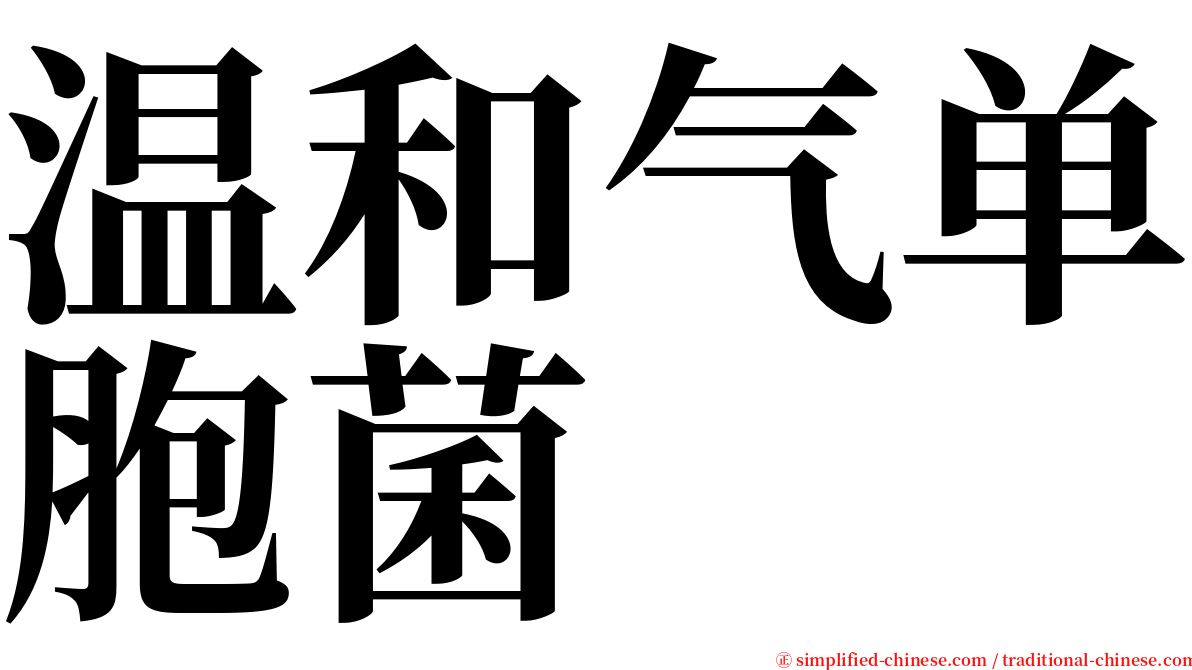 温和气单胞菌 serif font