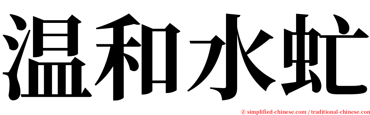 温和水虻 serif font