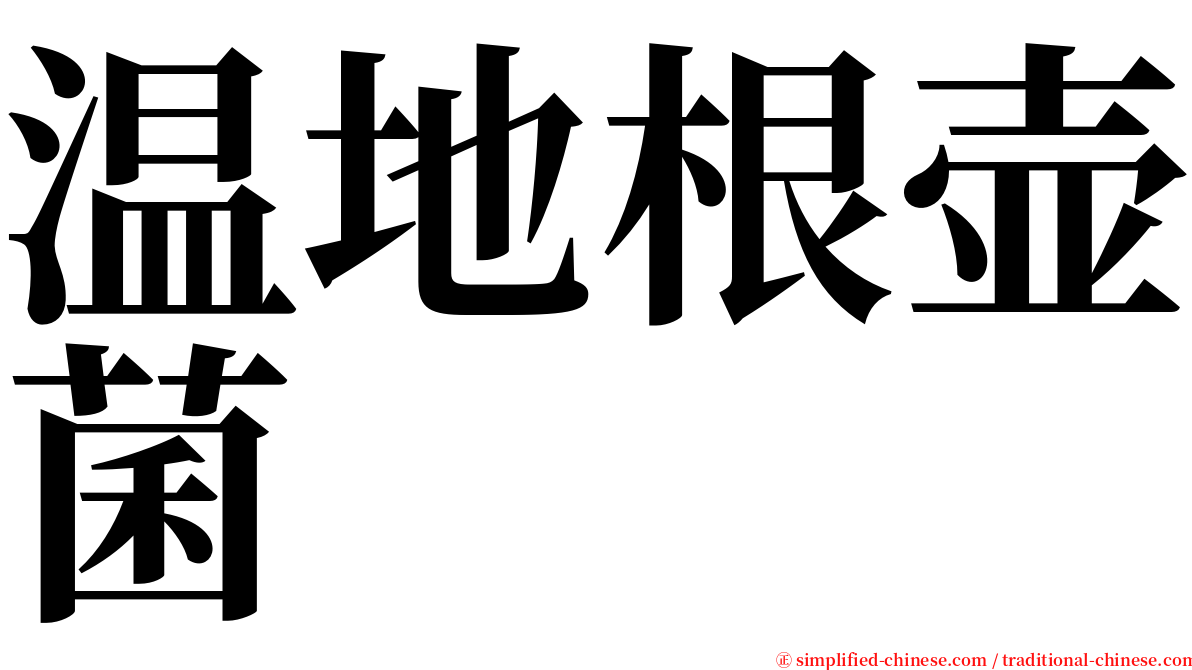 温地根壶菌 serif font