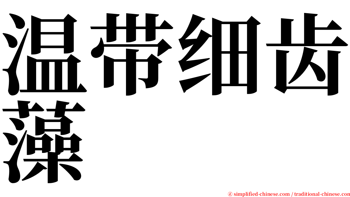 温带细齿藻 serif font