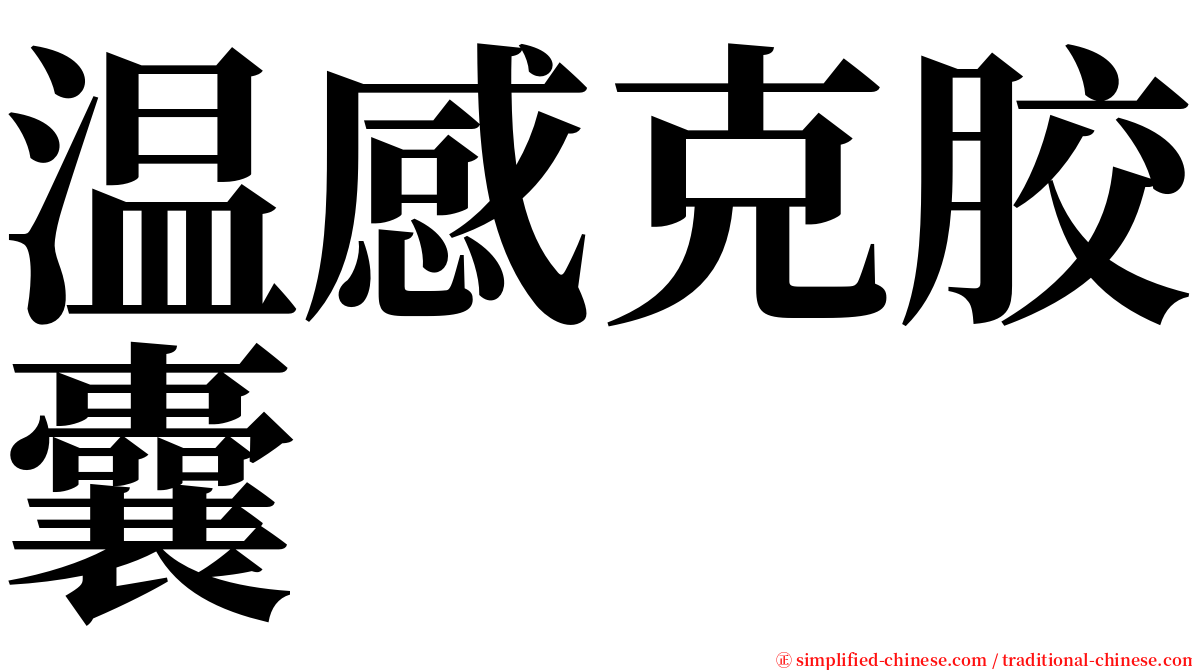 温感克胶囊 serif font