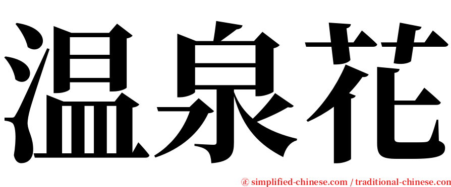 温泉花 serif font