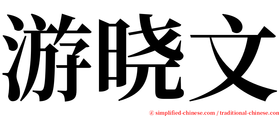 游晓文 serif font