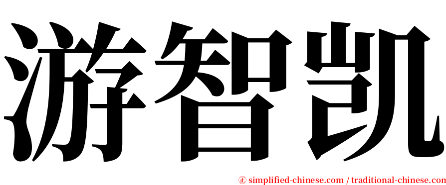 游智凯 serif font