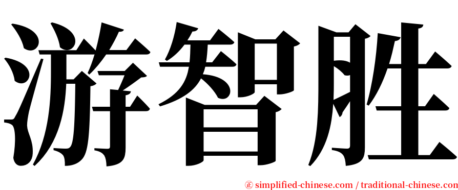 游智胜 serif font