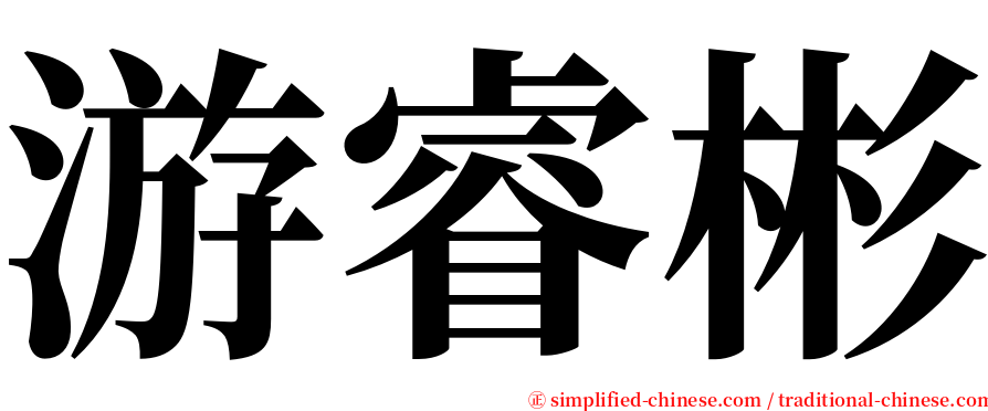 游睿彬 serif font