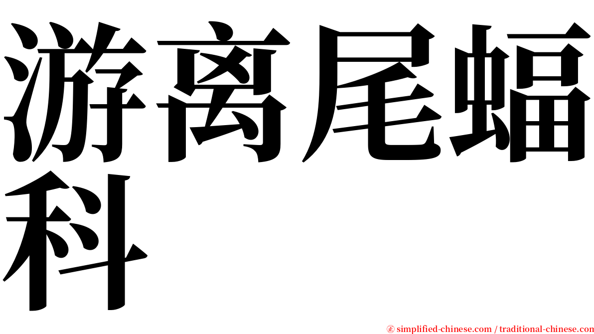 游离尾蝠科 serif font