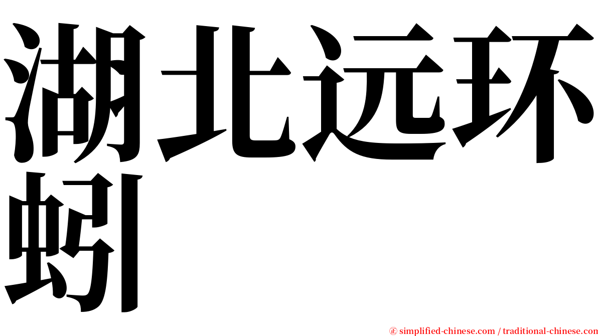 湖北远环蚓 serif font
