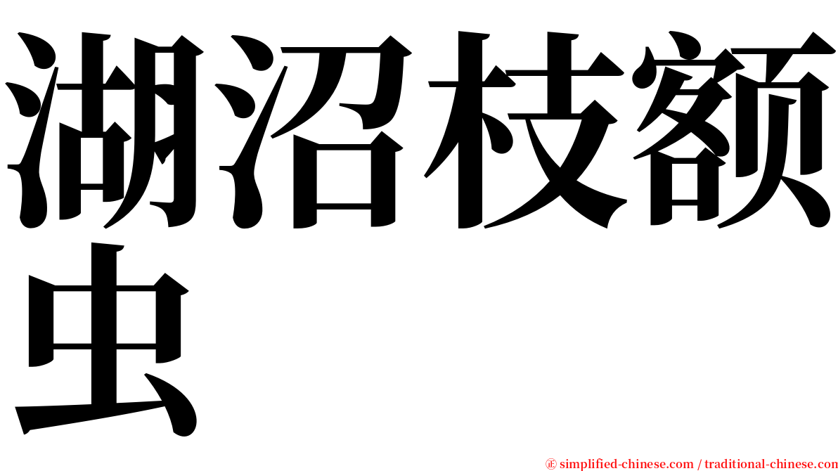 湖沼枝额虫 serif font