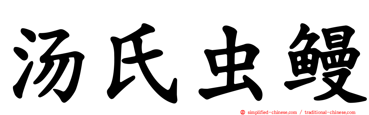 汤氏虫鳗