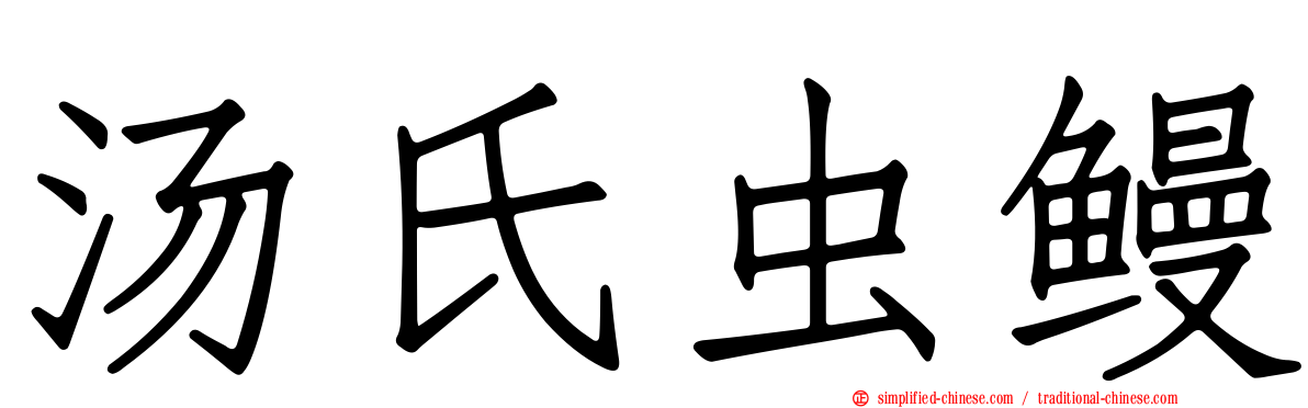 汤氏虫鳗