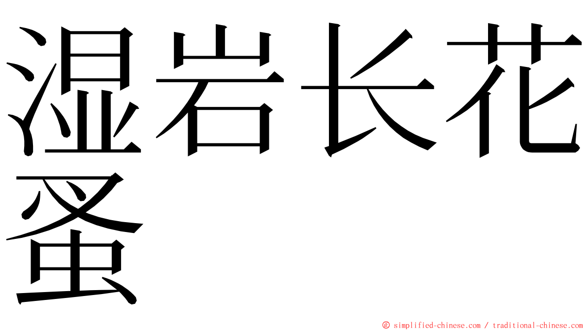 湿岩长花蚤 ming font