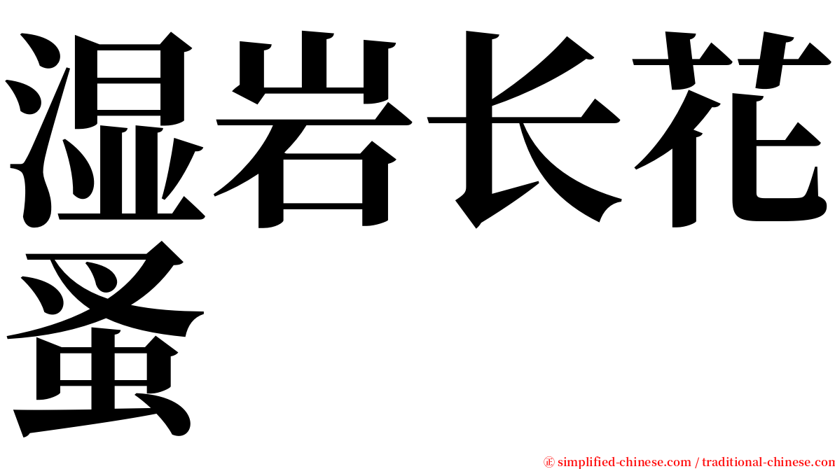 湿岩长花蚤 serif font