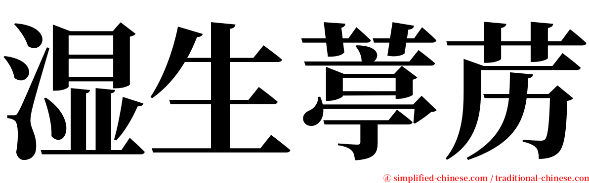 湿生葶苈 serif font