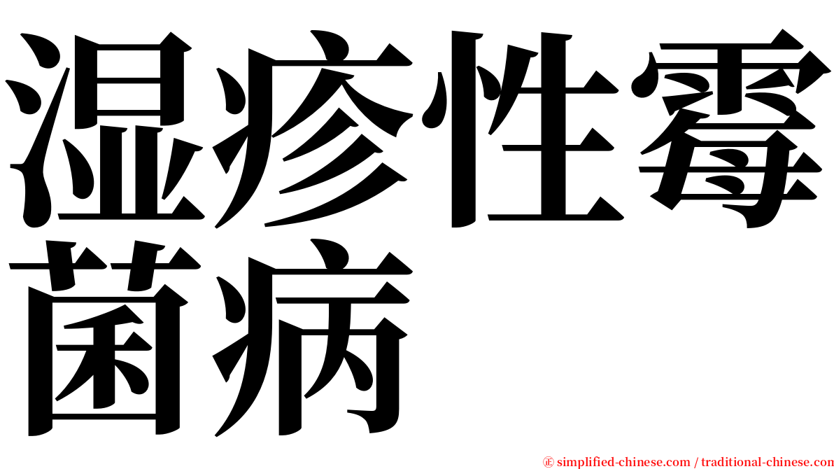 湿疹性霉菌病 serif font