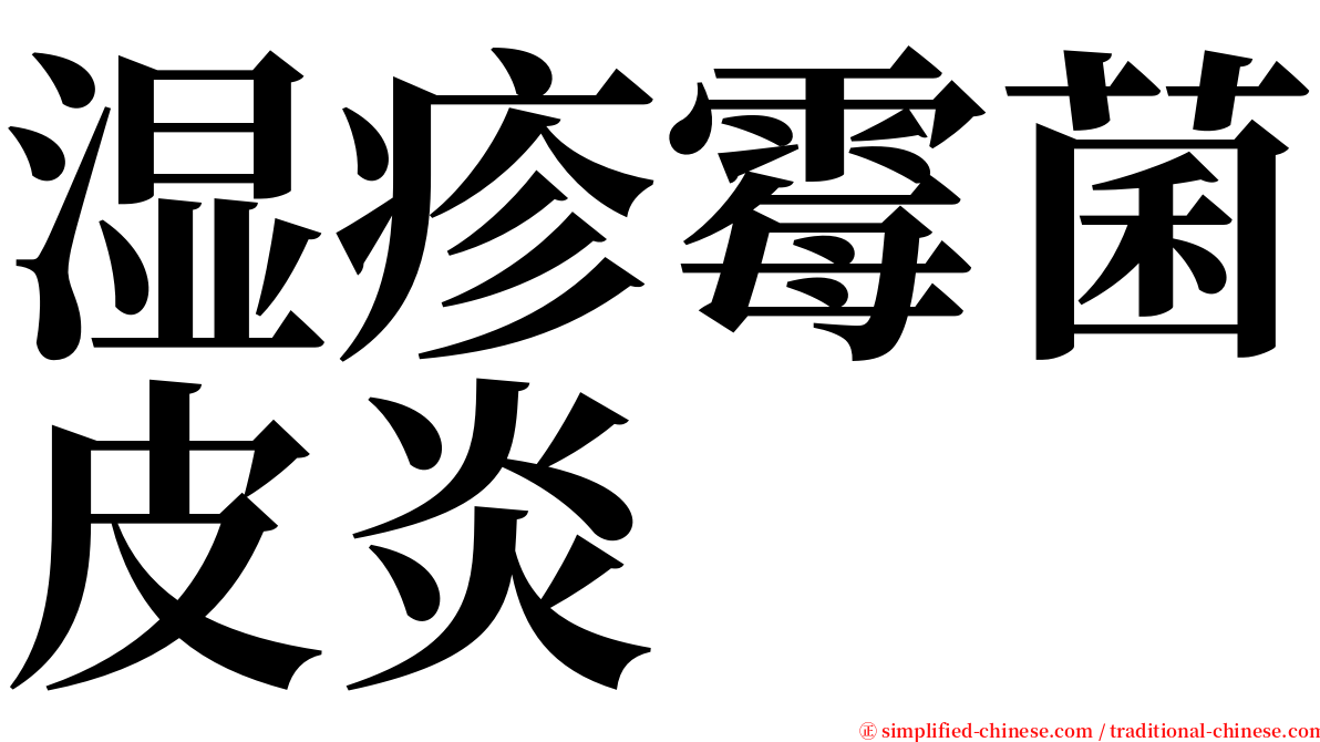 湿疹霉菌皮炎 serif font