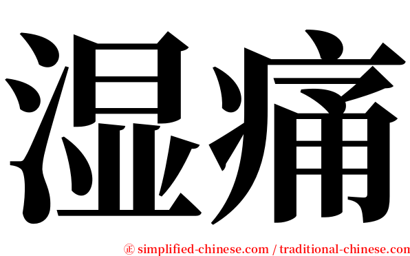 湿痛 serif font