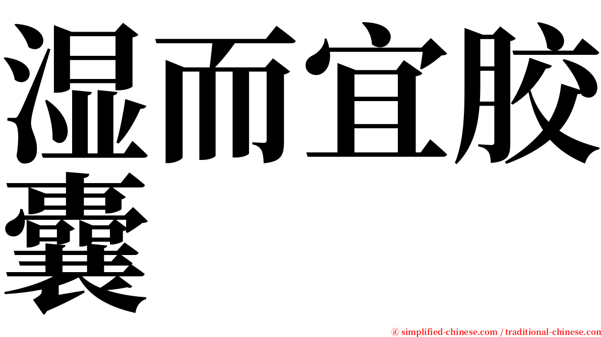 湿而宜胶囊 serif font