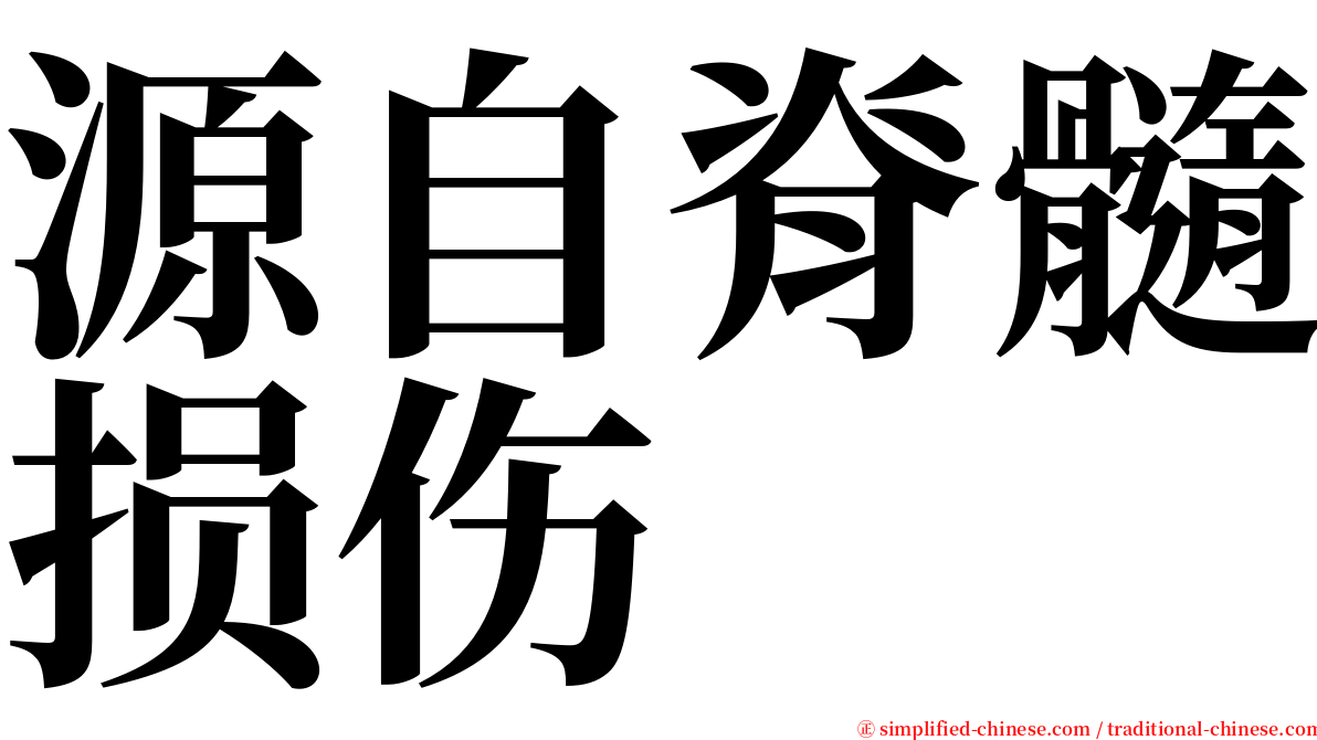 源自脊髓损伤 serif font