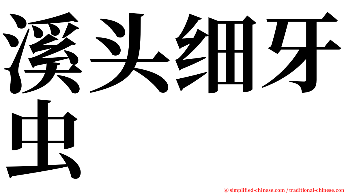 溪头细牙虫 serif font