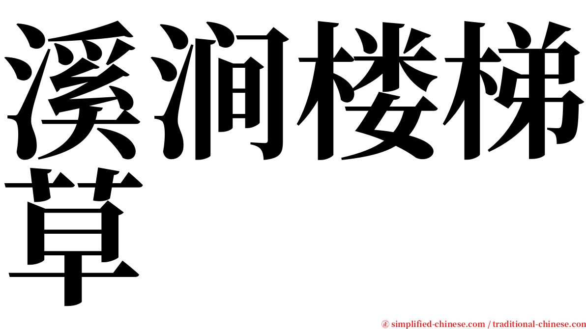 溪涧楼梯草 serif font