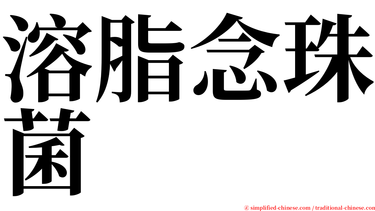 溶脂念珠菌 serif font