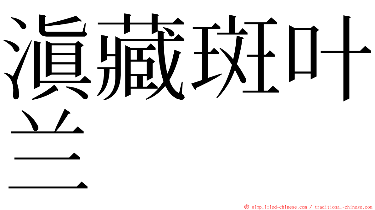 滇藏斑叶兰 ming font