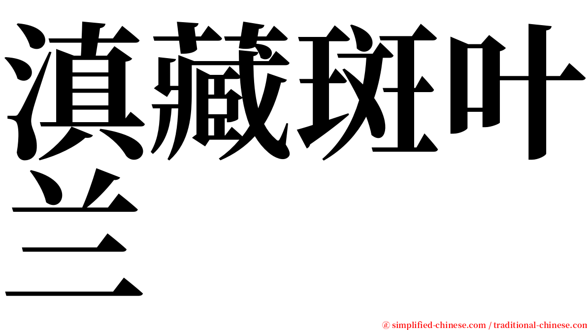 滇藏斑叶兰 serif font