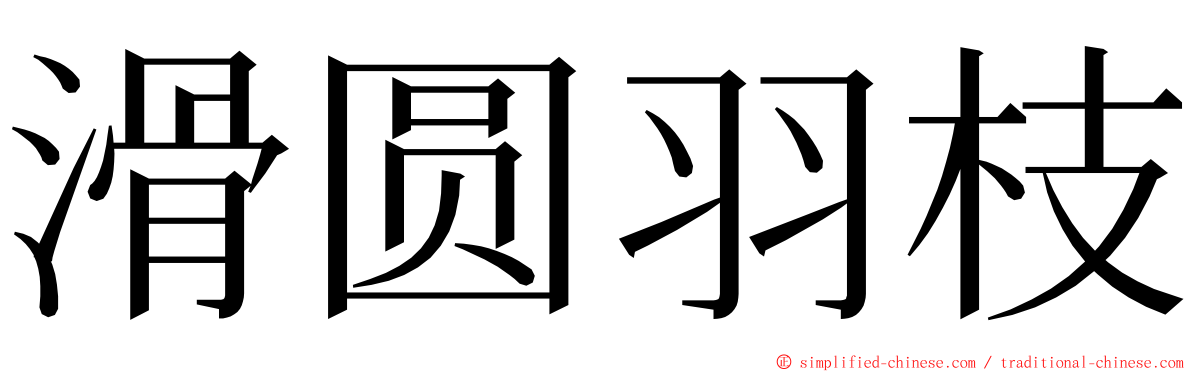 滑圆羽枝 ming font