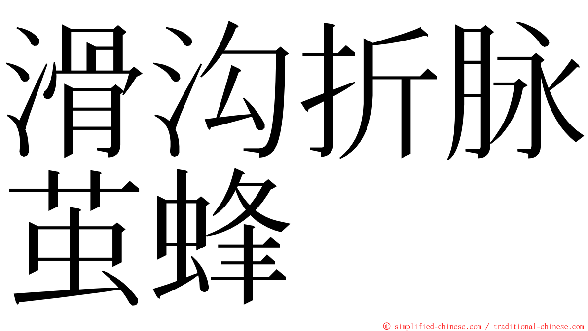 滑沟折脉茧蜂 ming font