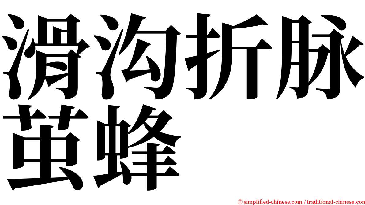 滑沟折脉茧蜂 serif font