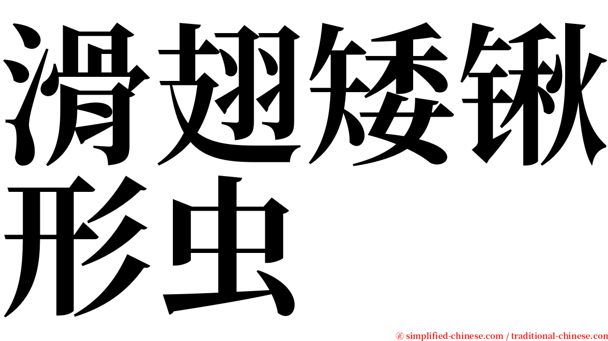 滑翅矮锹形虫 serif font