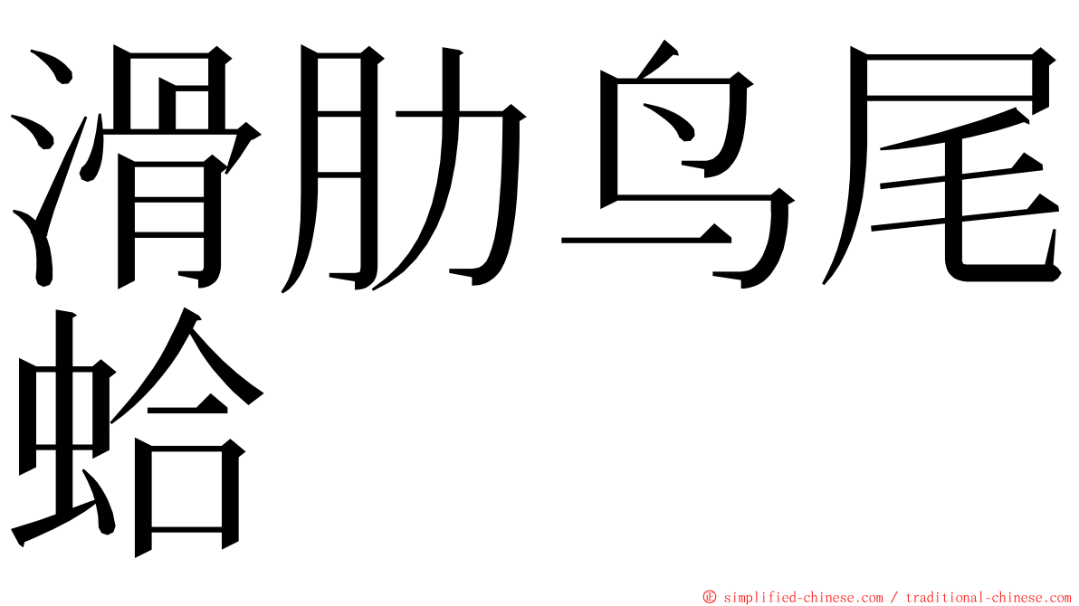 滑肋鸟尾蛤 ming font