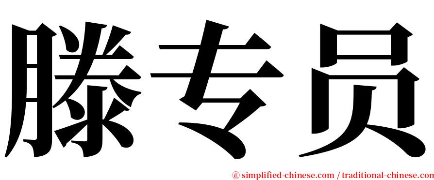 滕专员 serif font