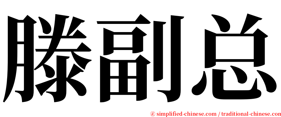 滕副总 serif font