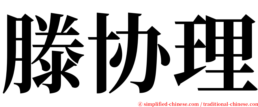 滕协理 serif font