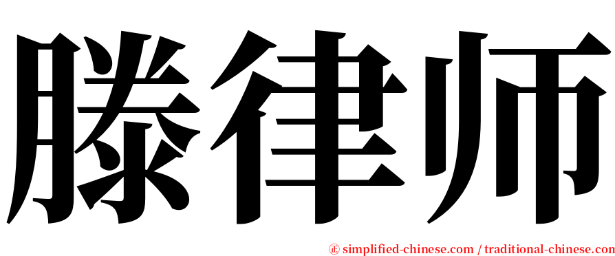 滕律师 serif font