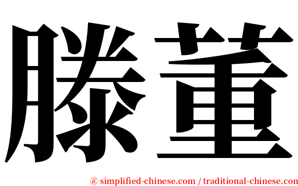 滕董 serif font