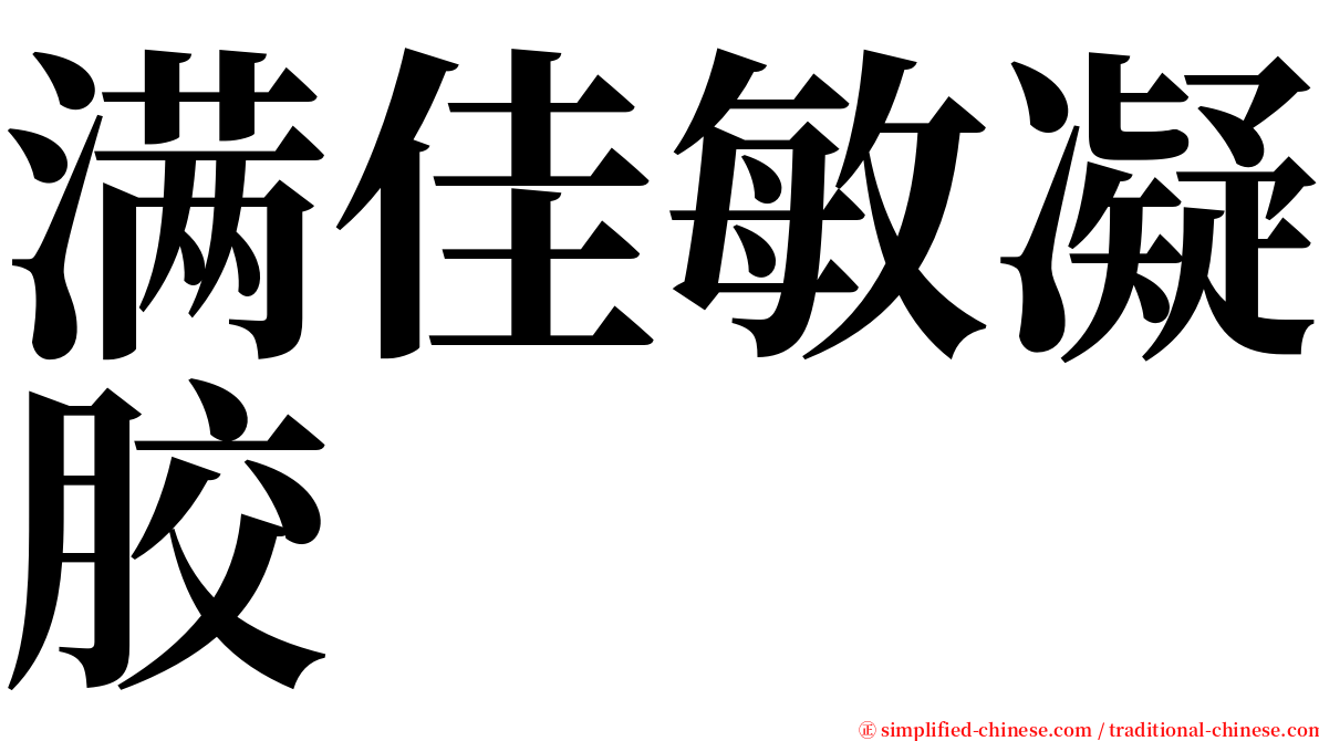 满佳敏凝胶 serif font