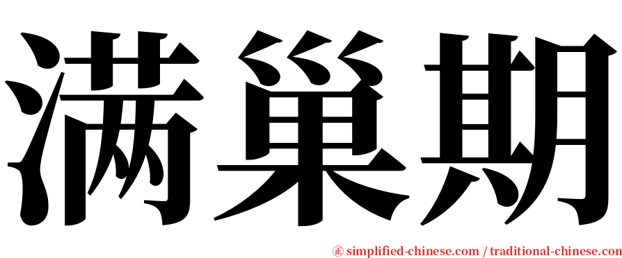 满巢期 serif font