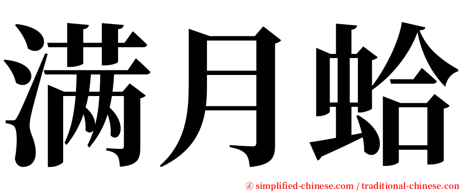 满月蛤 serif font