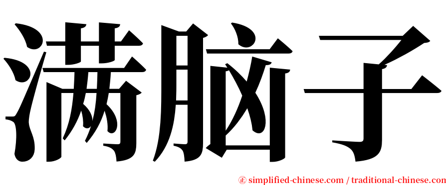 满脑子 serif font