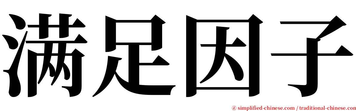 满足因子 serif font