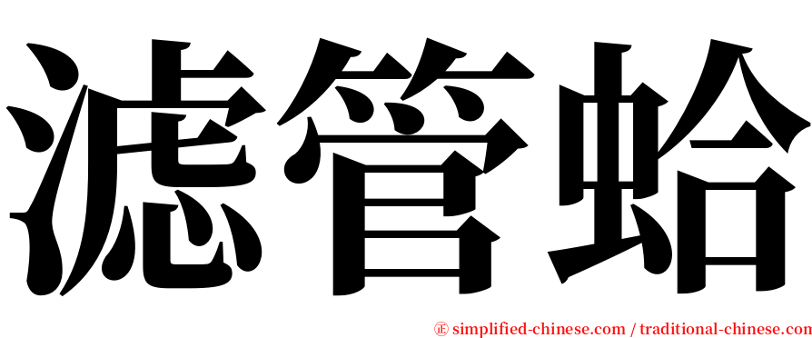 滤管蛤 serif font