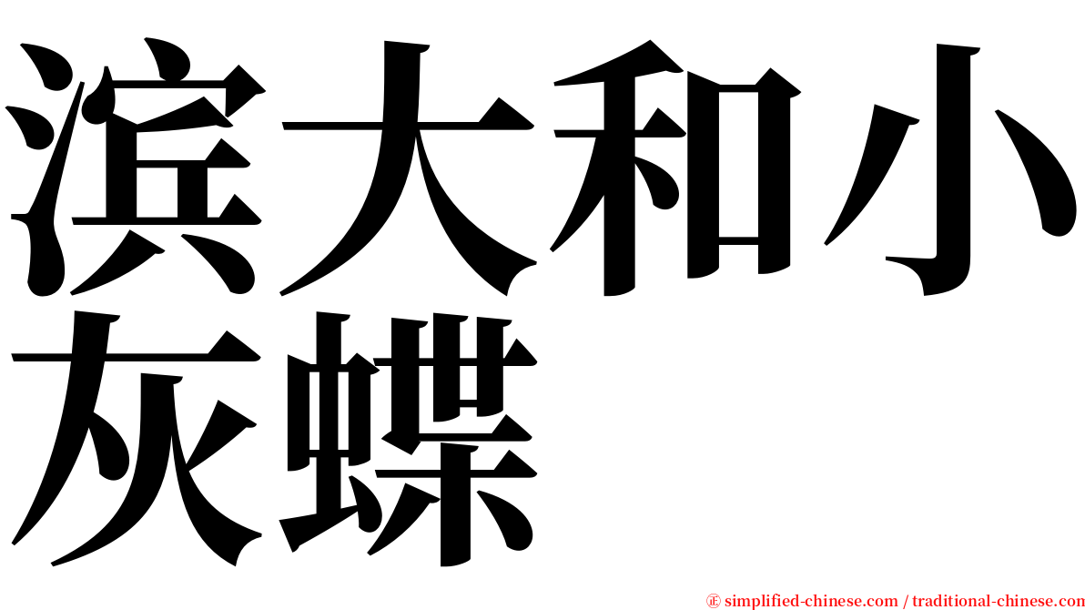 滨大和小灰蝶 serif font